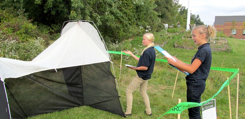 Malaise Trap Program