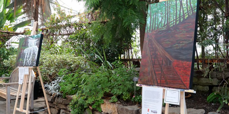 Preserving environment through art